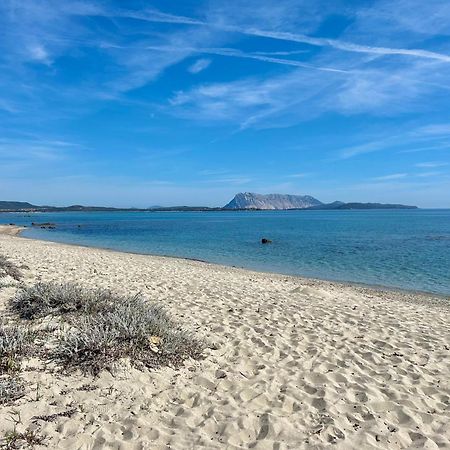 Iss Travel, San Teodoro 1 - 100 M From Cala D'Ambra Beach Kültér fotó