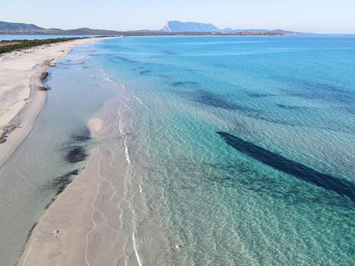 Iss Travel, San Teodoro 1 - 100 M From Cala D'Ambra Beach Kültér fotó