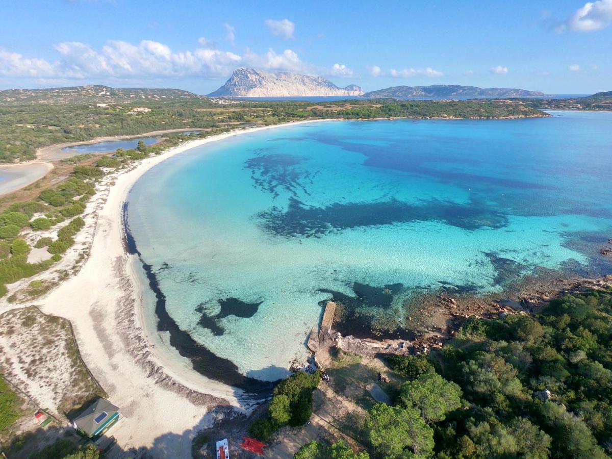 Iss Travel, San Teodoro 1 - 100 M From Cala D'Ambra Beach Kültér fotó