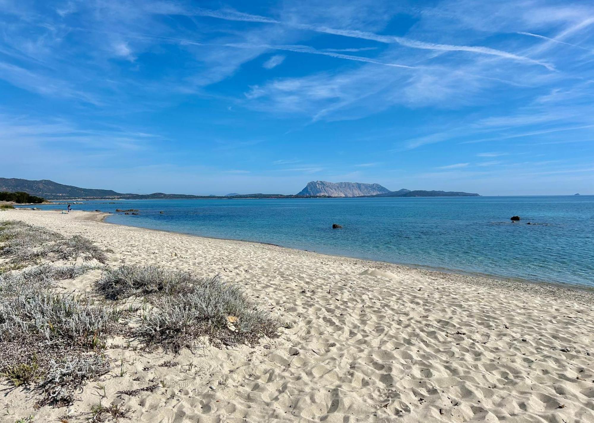 Iss Travel, San Teodoro 1 - 100 M From Cala D'Ambra Beach Kültér fotó